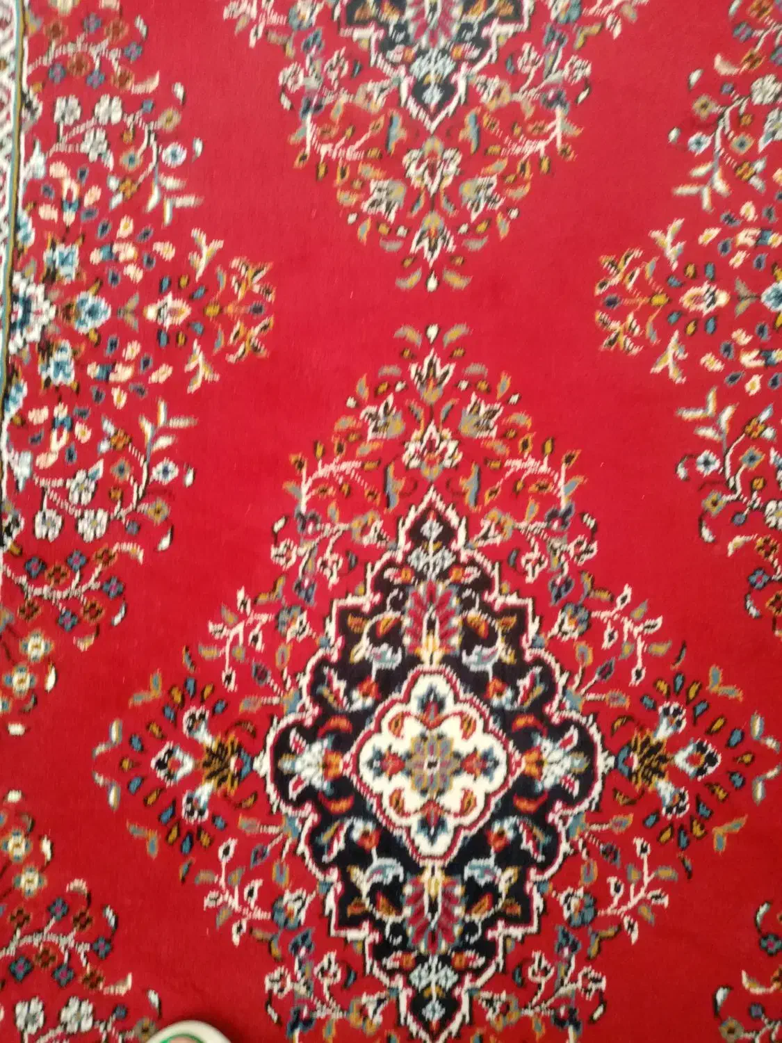 کناره|فرش|تربت‌حیدریه, پارک کاشانی|دیوار