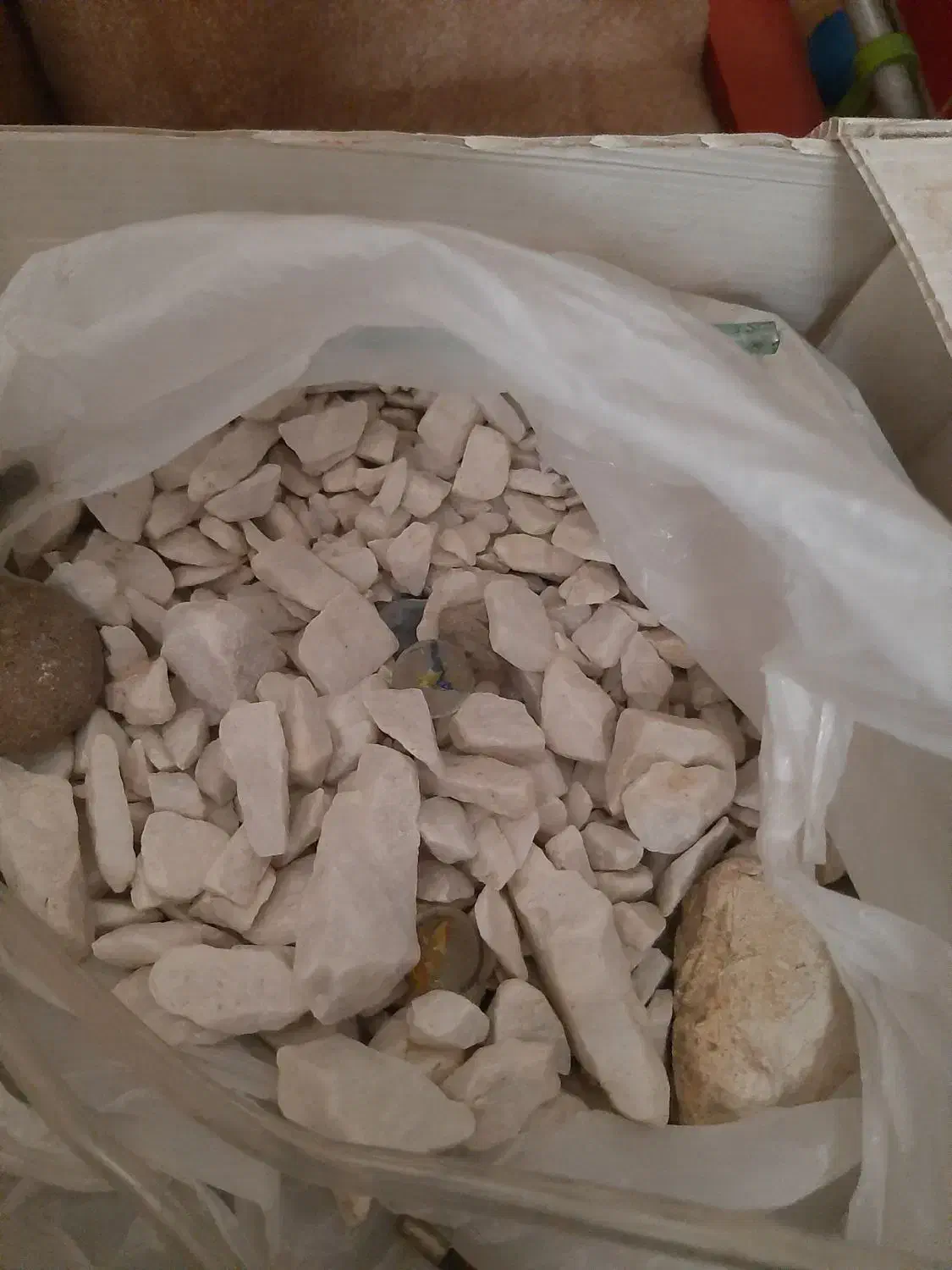 اکواریوم|ماهی|قم, ناصردیوان|دیوار