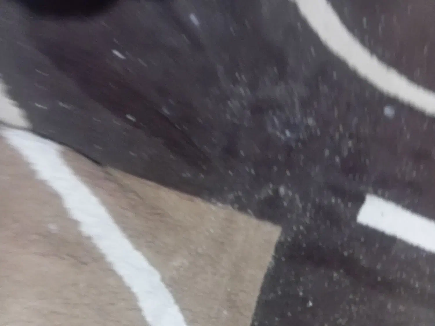 فرش ۶متری|فرش|مشهد, حضرت حجت|دیوار