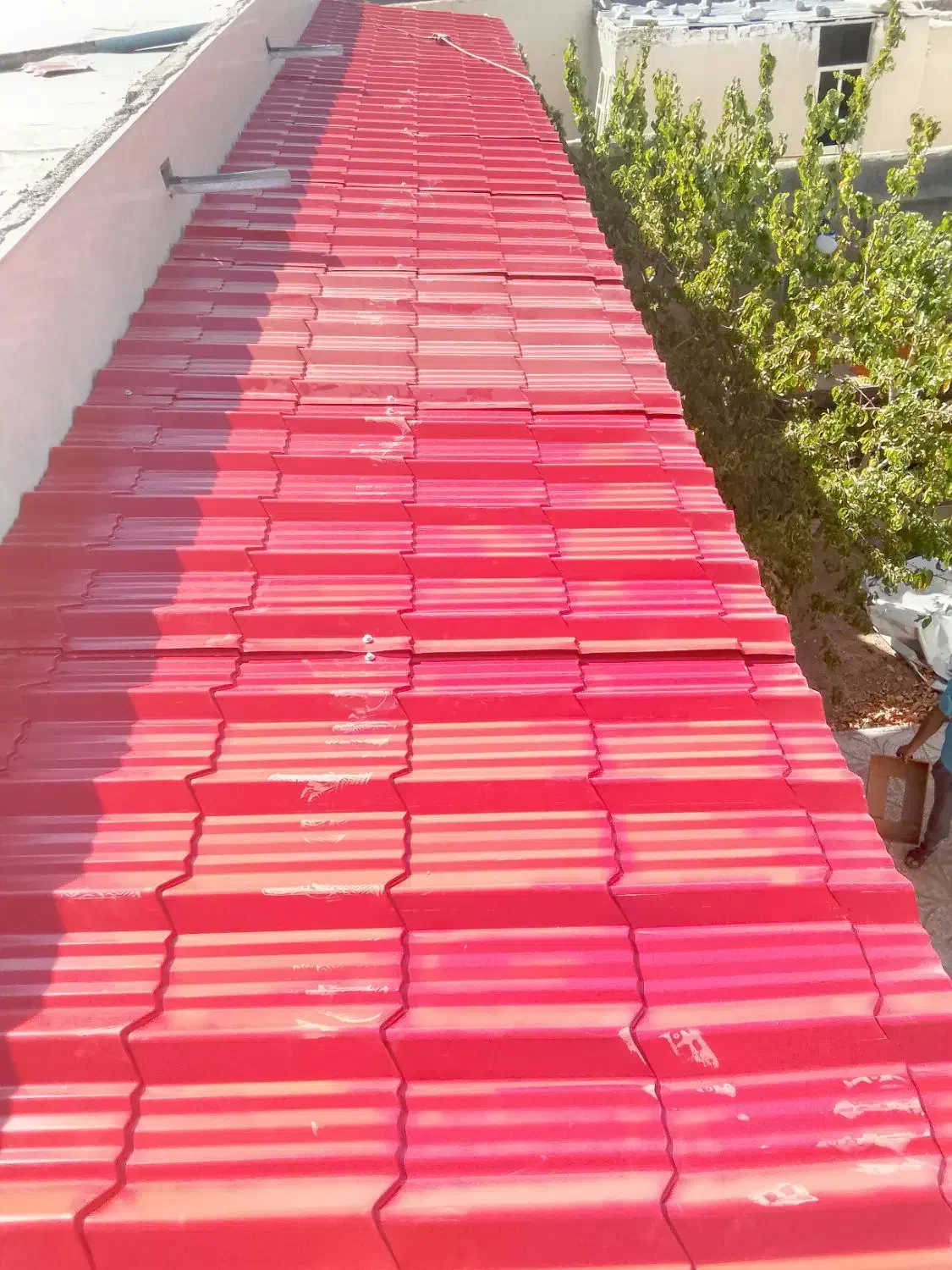 اجرای سقف مرغداری|خدمات پیشه و مهارت|گناباد, |دیوار