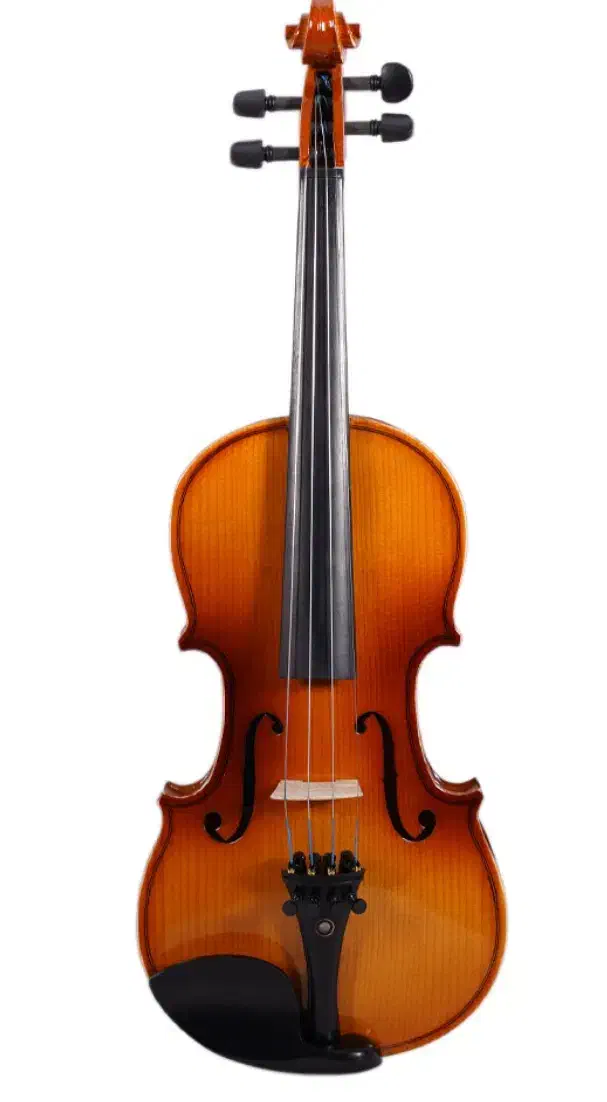 ویولن ۲/۴|ویولن|تویسرکان, |دیوار