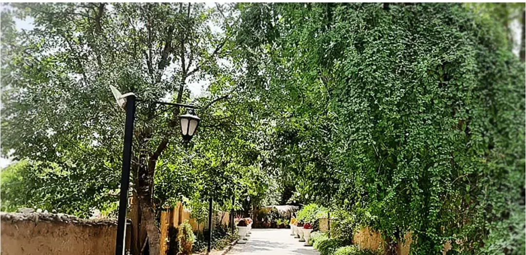 زمین باغ|فروش زمین و ملک کلنگی|خفر, |دیوار