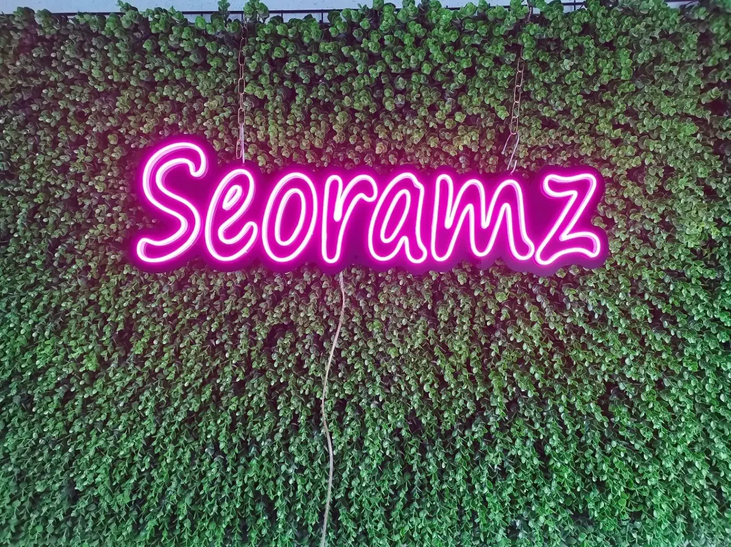 تابلو سازی ال ای دی نئون نعون نیون تابلوسازی led|فروشگاه و مغازه|تهران, شهرک ولیعصر جنوبی|دیوار