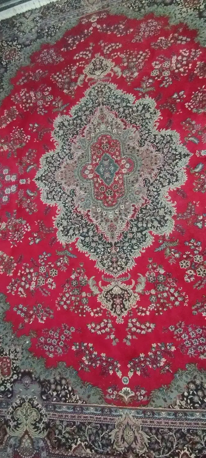 فرش 12متری|فرش|نقده, |دیوار