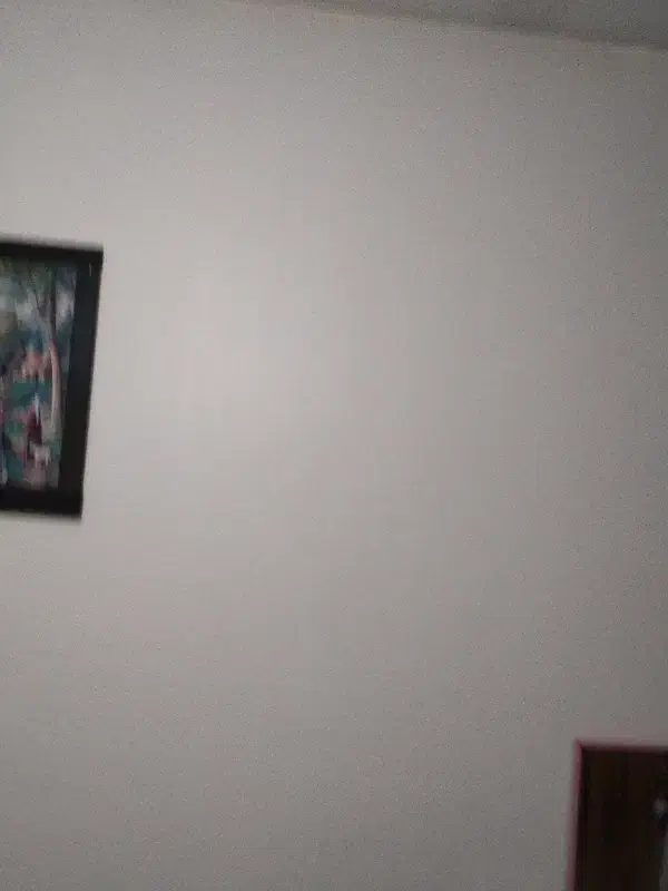 استاد کار نقاشی ساختمان|خدمات پیشه و مهارت|محمدشهر, ولدآباد|دیوار