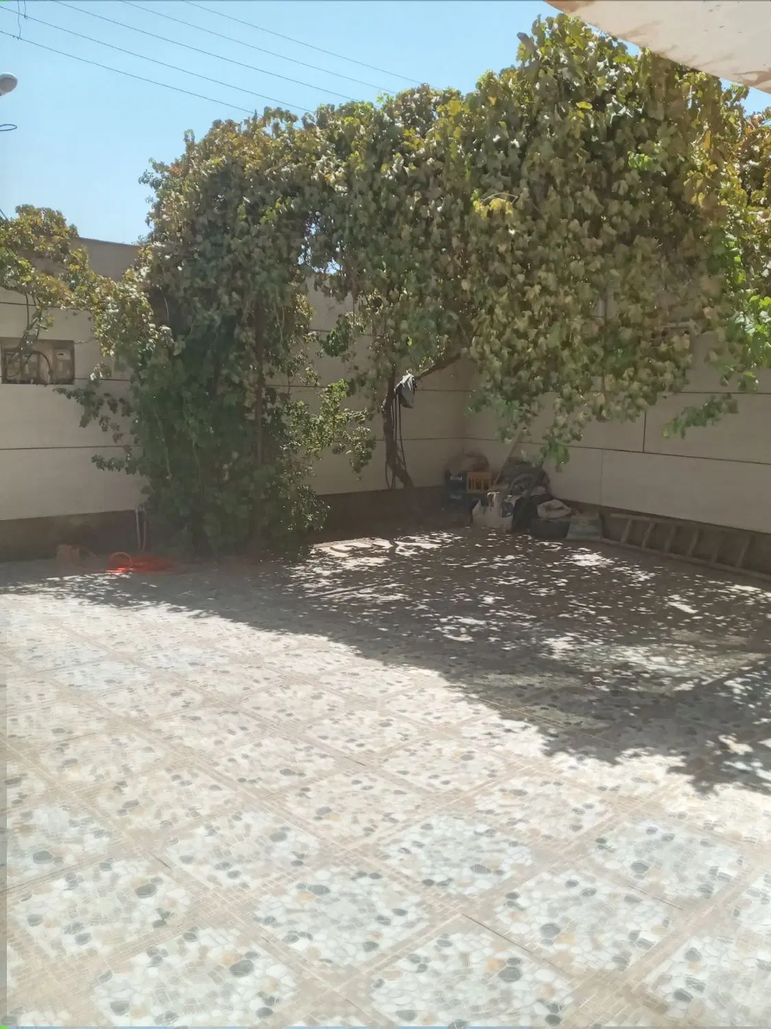 تصویر 2