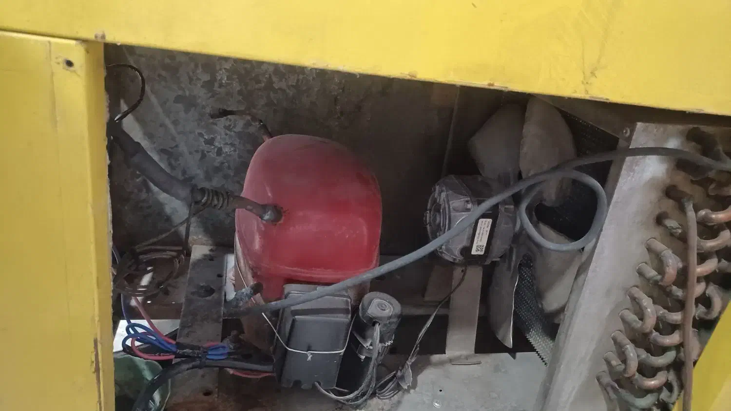 فریزر صندوقی مغازه بزرگ و داخل استیل|یخچال و فریزر|امیدیه, |دیوار