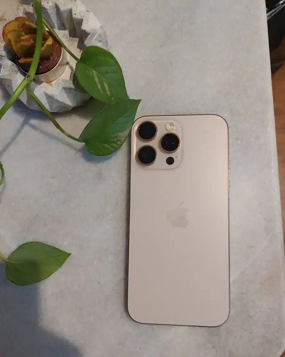 آیفون ۱۶ پرومکس|موبایل|داراب, |دیوار