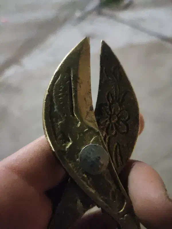 قیچی قدیمی|کلکسیون اشیاء عتیقه|کرمان, |دیوار