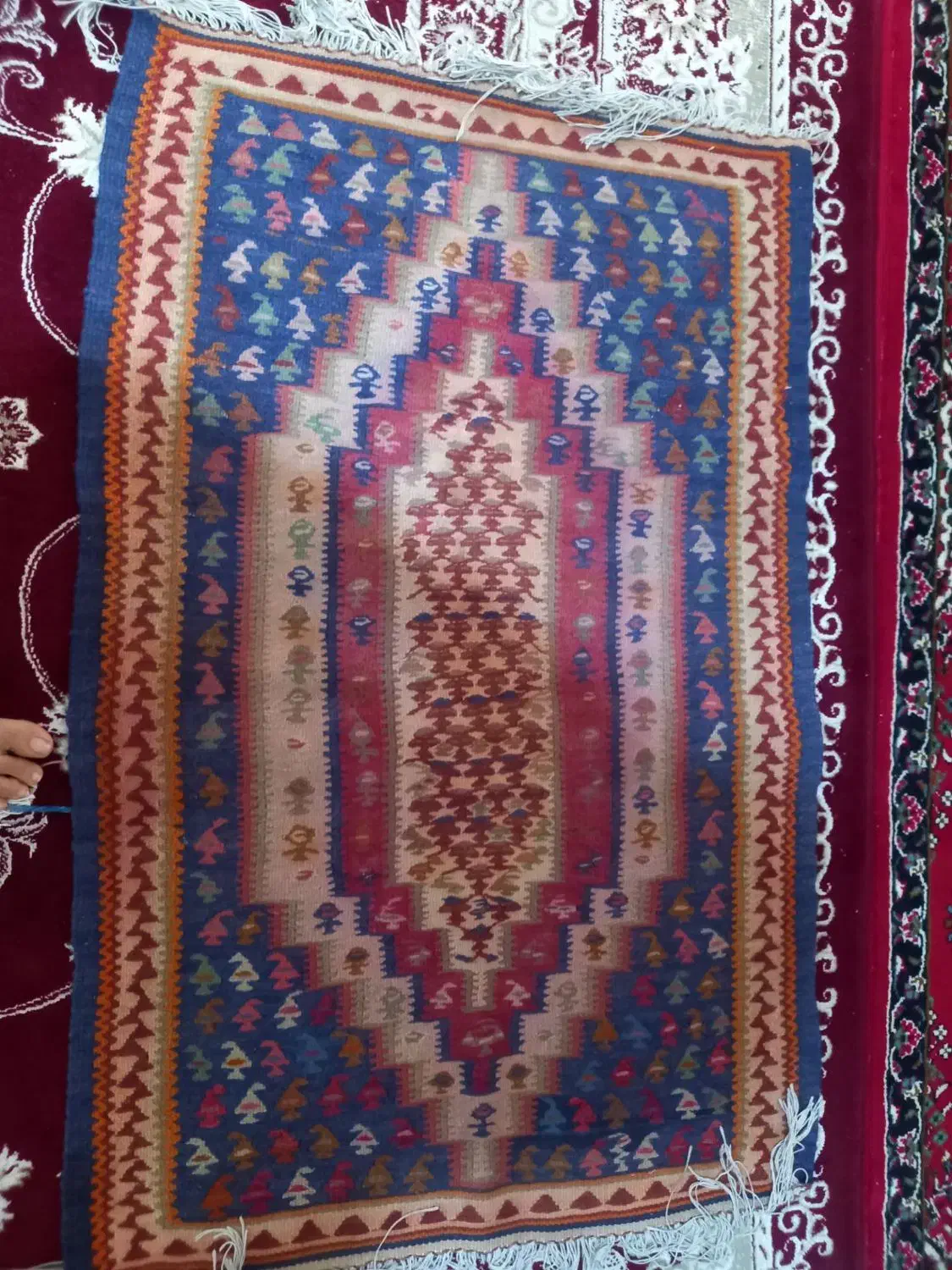 تعدادی گلیم دست بافت پشم و کاموا|گلیم، جاجیم، گبه|هرسین, |دیوار