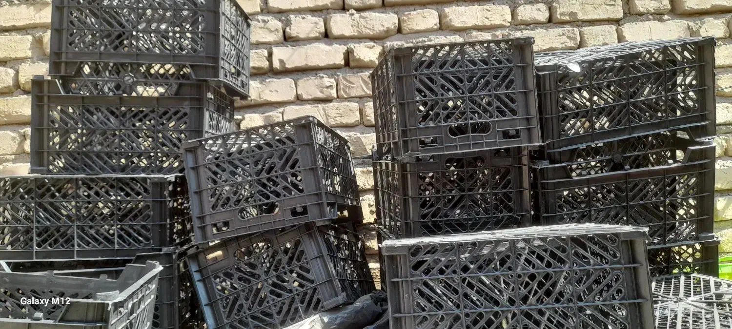 تعدادی سبد|ظروف نگهدارنده، پلاستیکی، یکبارمصرف|سیرجان, |دیوار