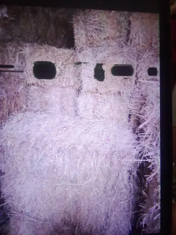 علفبهاره|عمدهفروشی|گنبد کاووس, |دیوار