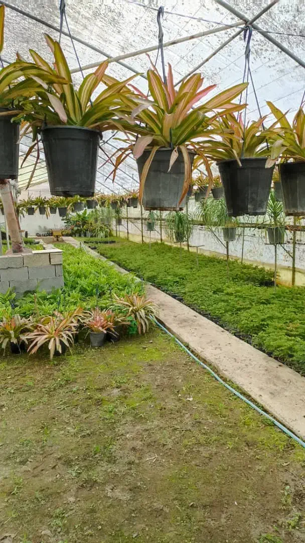 استخدام کارگر برای گلخانه با محل اسکان|استخدام سرایداری و نظافت|نشتارود, |دیوار