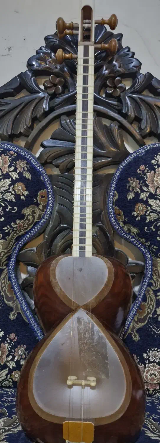 ساز تار ایرانی|سازهای سنتی|هشتگرد, شهرک بعثت|دیوار