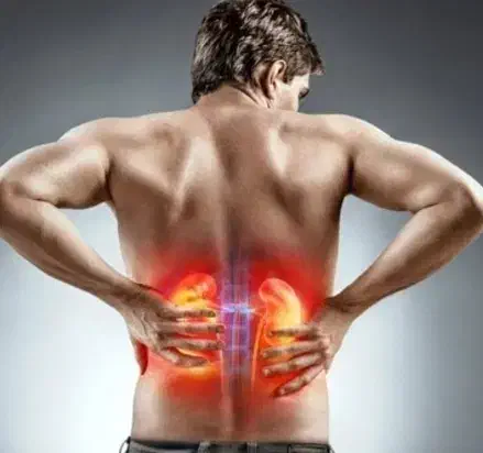 درمان سنگ کلیه|خدمات آرایشگری و زیبایی|محمدشهر, شهرک پیام (مهرالبرز)|دیوار