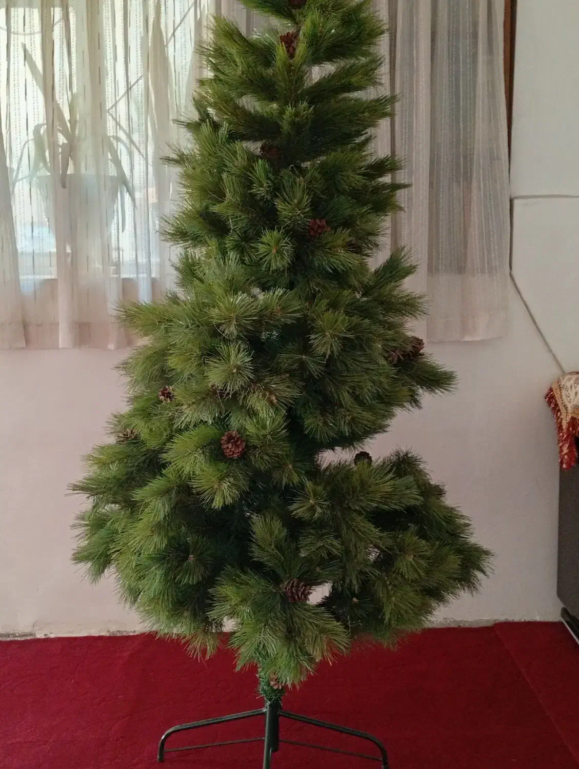 درختچه ی کاج سالم و زیبا|گل مصنوعی|مشهد, طلاب|دیوار