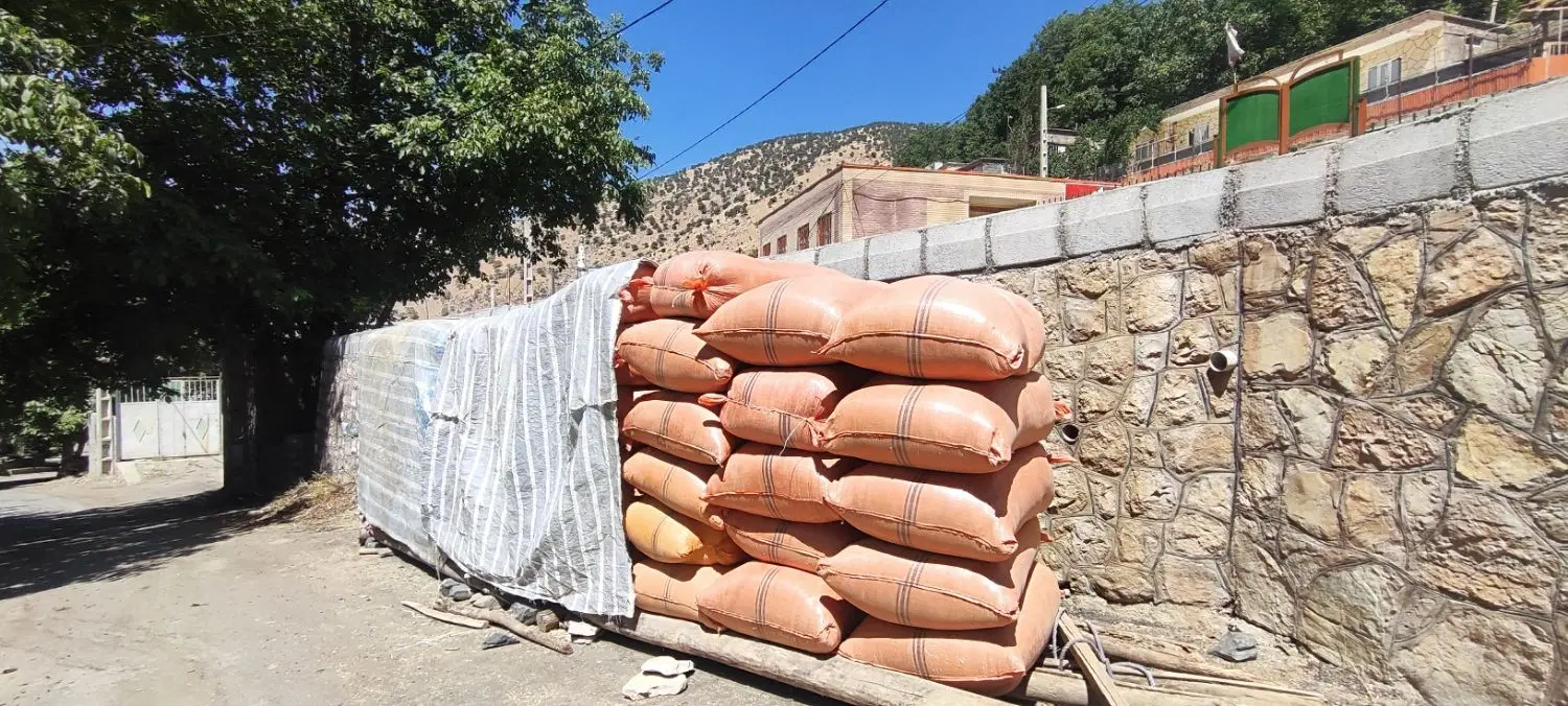 علف|گل و گیاه طبیعی|سروآباد, |دیوار