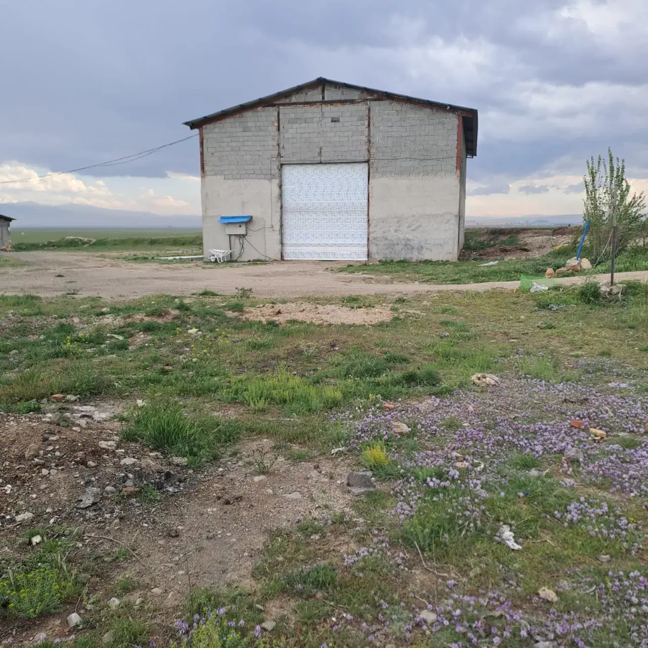 فروش یک واحد مرغداری ۷۰۰۰متر بادستگاههای اتوماتیک|فروش دفتر صنعتی، کشاورزی، تجاری|نمین, |دیوار