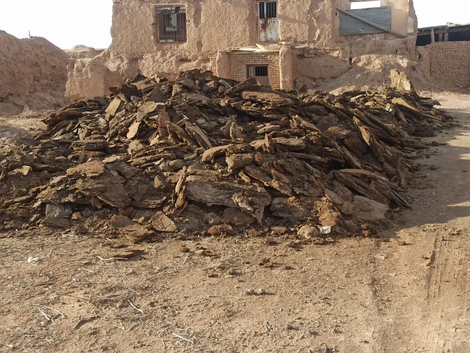 کودگوسفندی|خدمات باغبانی و درختکاری|ملک‌آباد, |دیوار