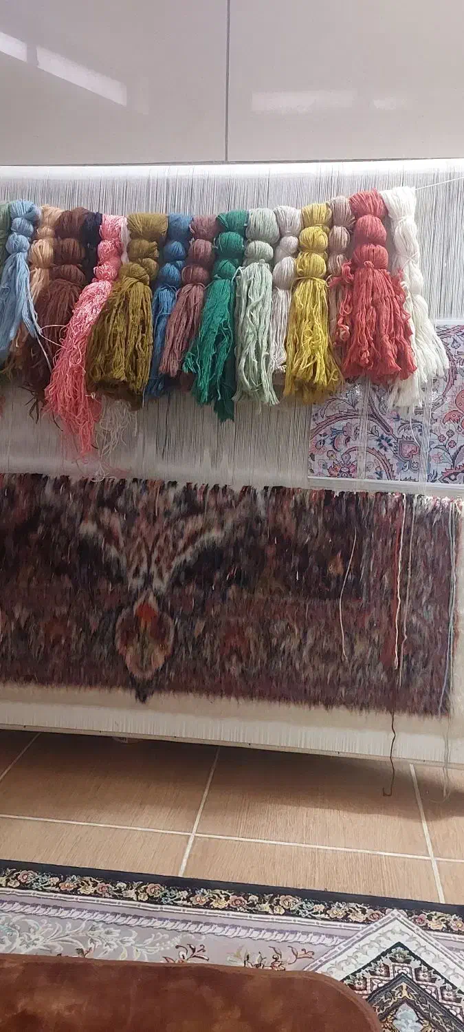 قالی گل ابریشم|فرش|قم, علی آباد سعدگان|دیوار