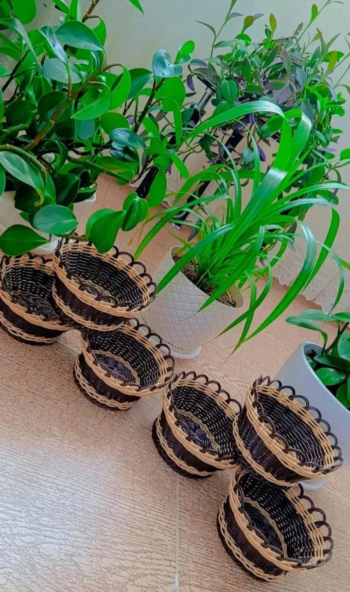 سبد های جای سبزی|ظروف نگهدارنده، پلاستیکی، یک‌بارمصرف|ازنا, |دیوار