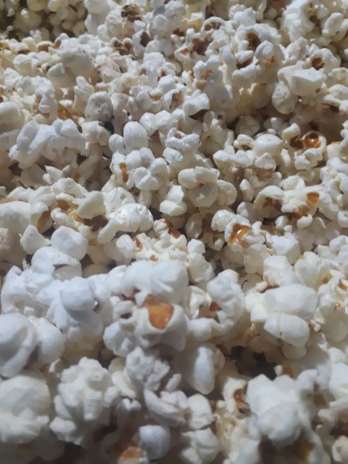 ذرت پفیلا ایرانی|خوردنی و آشامیدنی|تاتار علیا, |دیوار