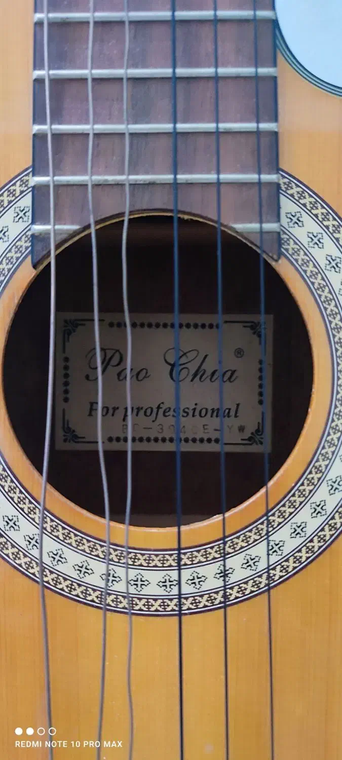 گیتار پائوچیا|گیتار، بیس، امپلیفایر|گرگان, |دیوار