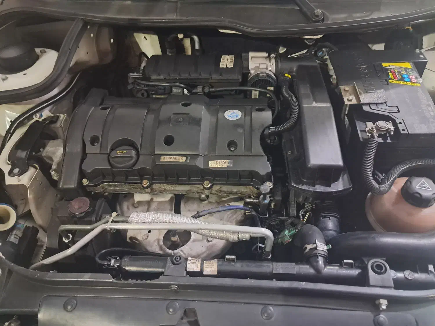 206 SD مدل 96|خودرو سواری و وانت|اهر, |دیوار