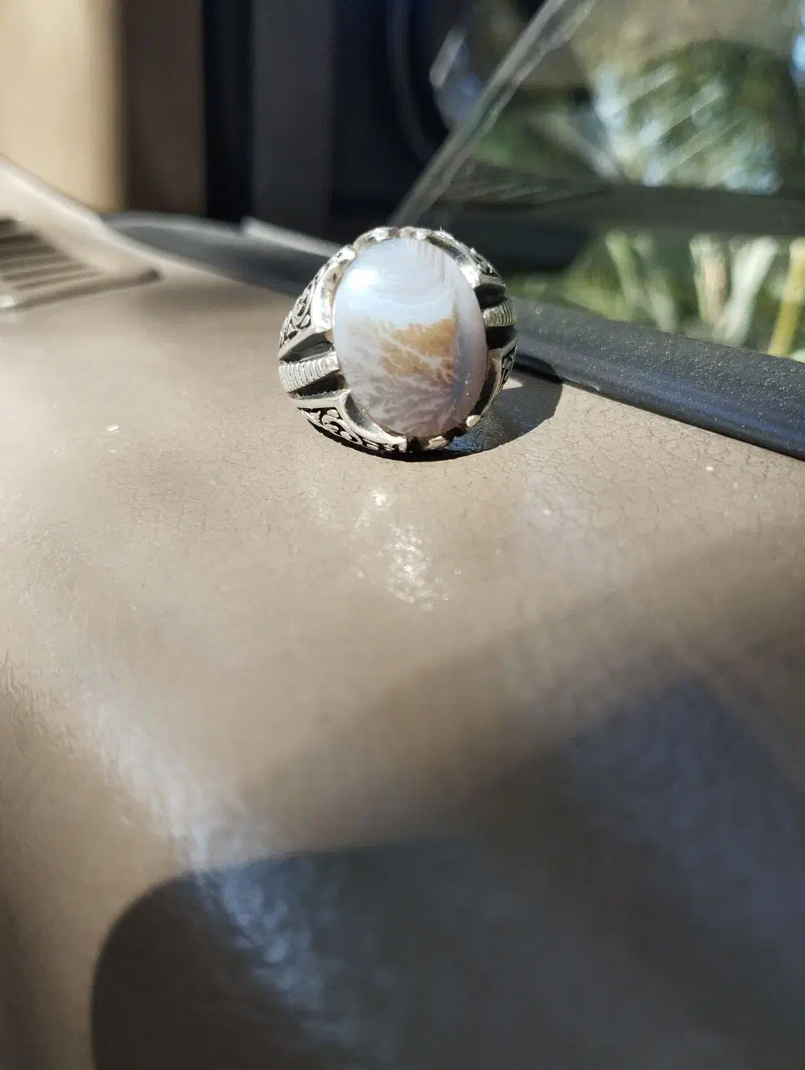 شجر|زیورآلات و اکسسوری|بم, |دیوار