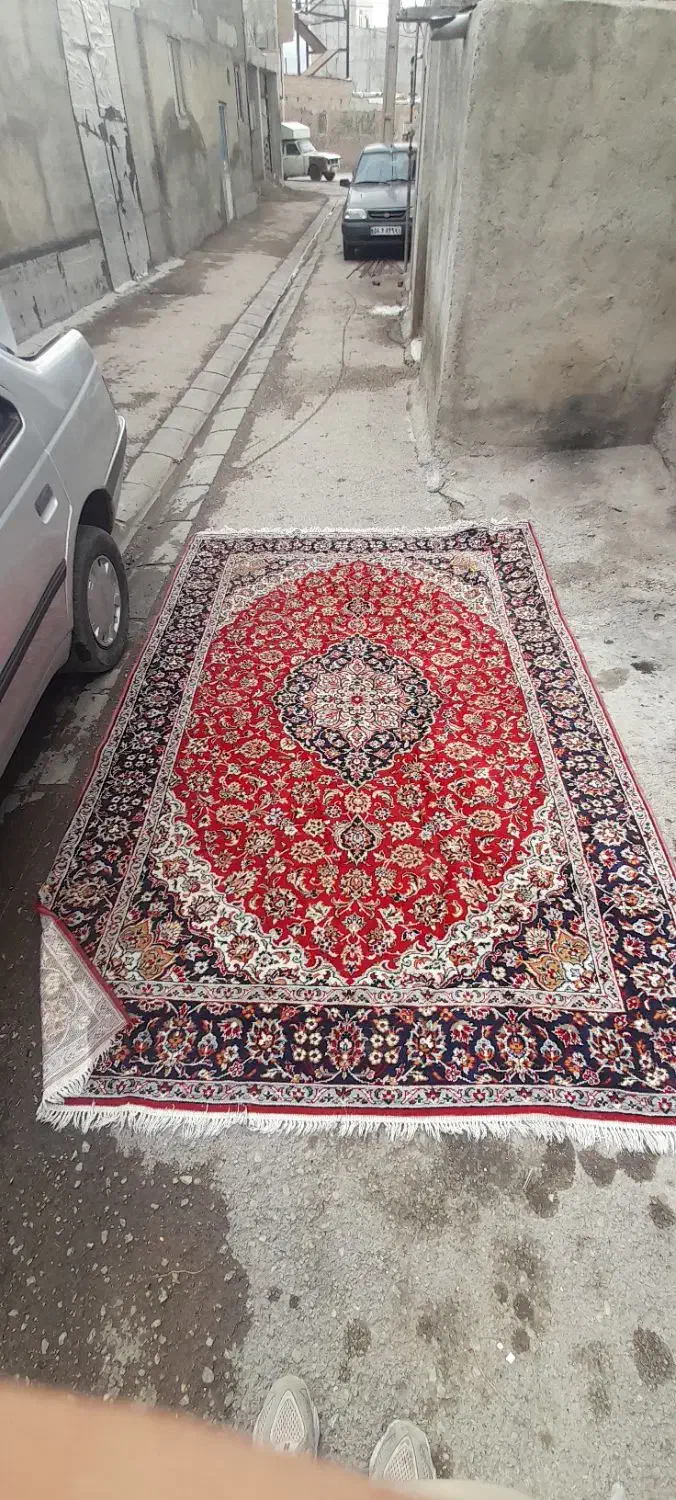 فرش ۶ متری کهنه|فرش|اردبیل, |دیوار