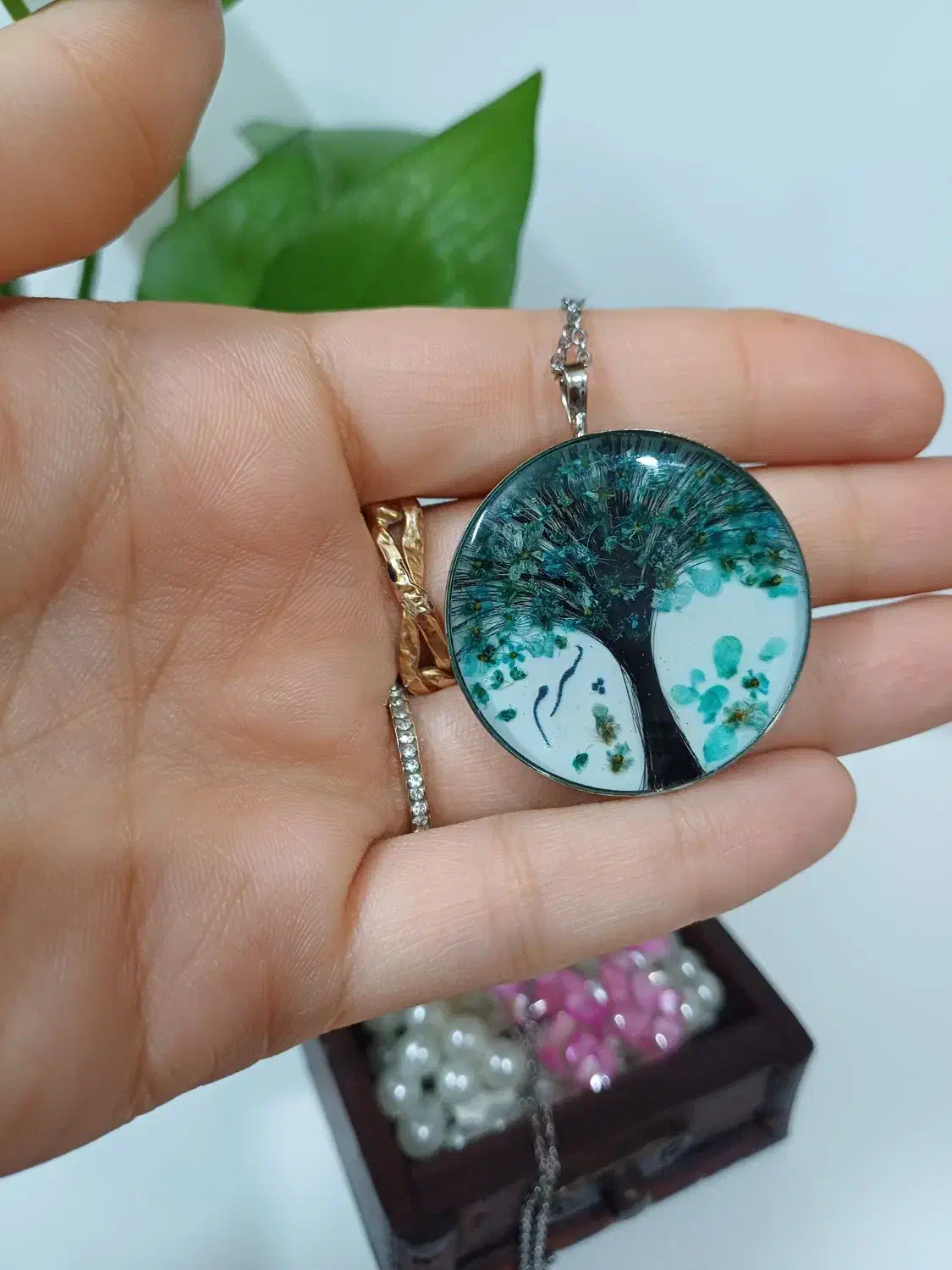 پلاک جاودانه   درختچه موی یار|بدلیجات|قزوین, |دیوار