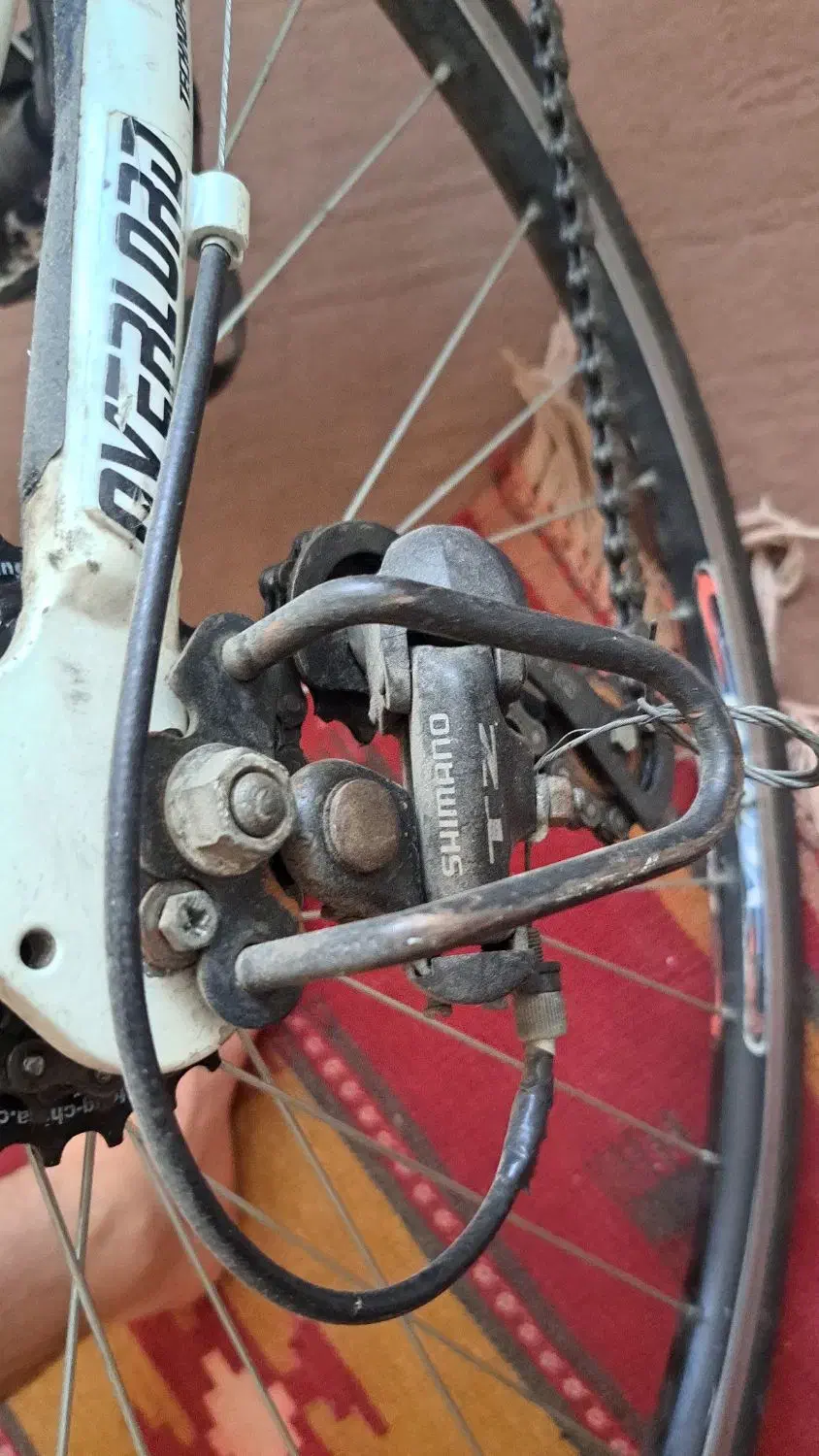 دوچرخه کورسی تنه آلومینیوم برند ونتو|دوچرخه، اسکیت، اسکوتر|شیراز, آبیاری|دیوار