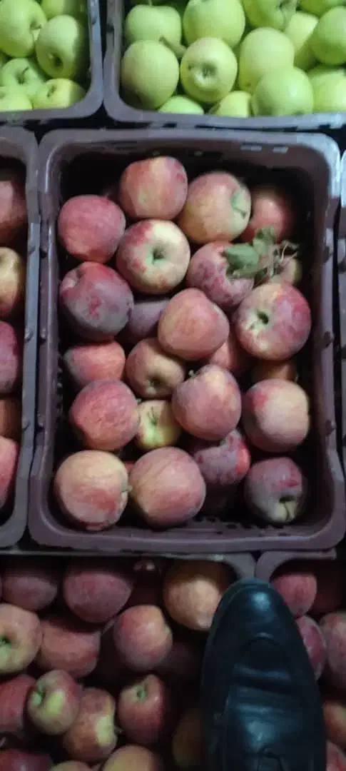 زیر سورت۱۲۰تن|خوردنی و آشامیدنی|اشنویه, |دیوار