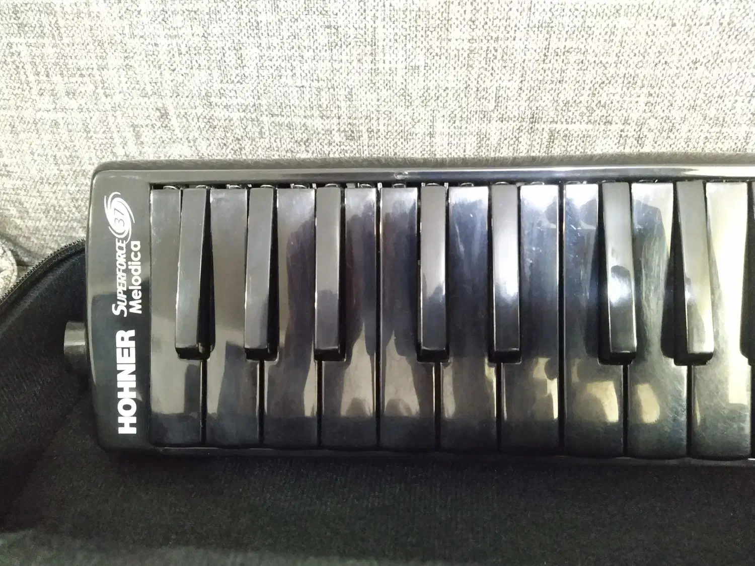 ملودیکا هوهنر|پیانو، کیبورد، آکاردئون|هشتگرد, هیو|دیوار