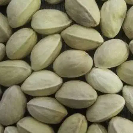 پسته پوک و رو آبی و دهنبست|خوردنی و آشامیدنی|بختگان, |دیوار