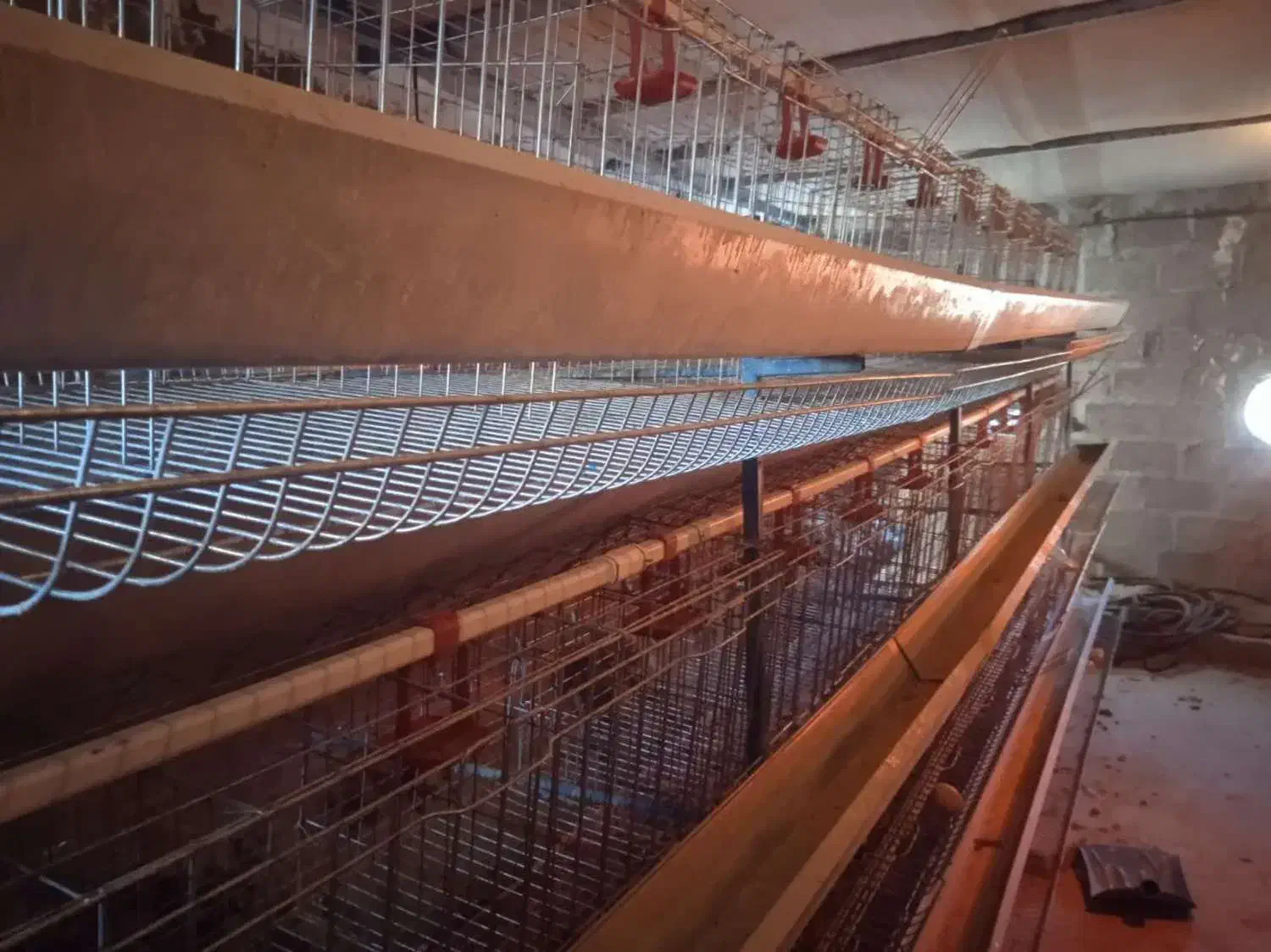 قفس مرغ تخمگذار استاده|لوازم جانبی حیوانات|تفرش, |دیوار