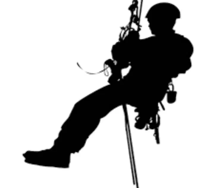 پیچ رولپلاک سنگ نما|خدمات پیشه و مهارت|محمدشهر, محمدشهر|دیوار