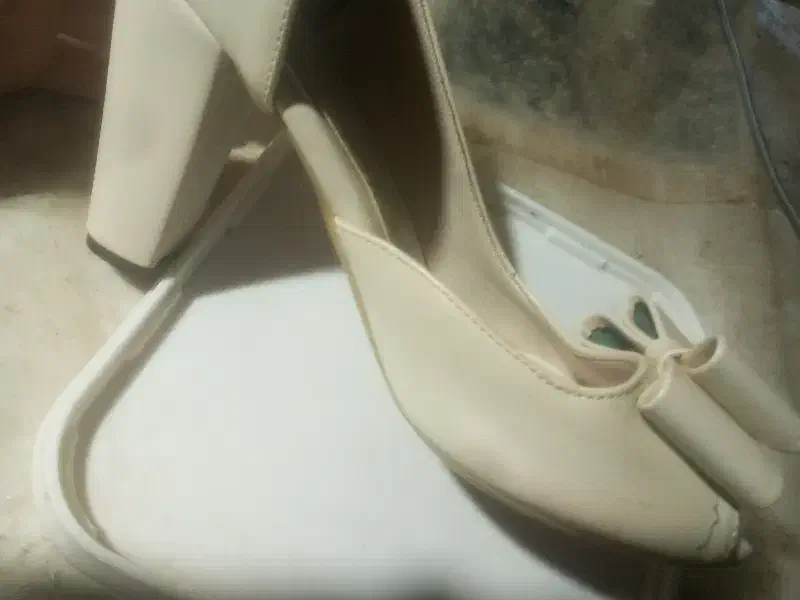 پاشنه|کیف، کفش، کمربند|سلماس, |دیوار