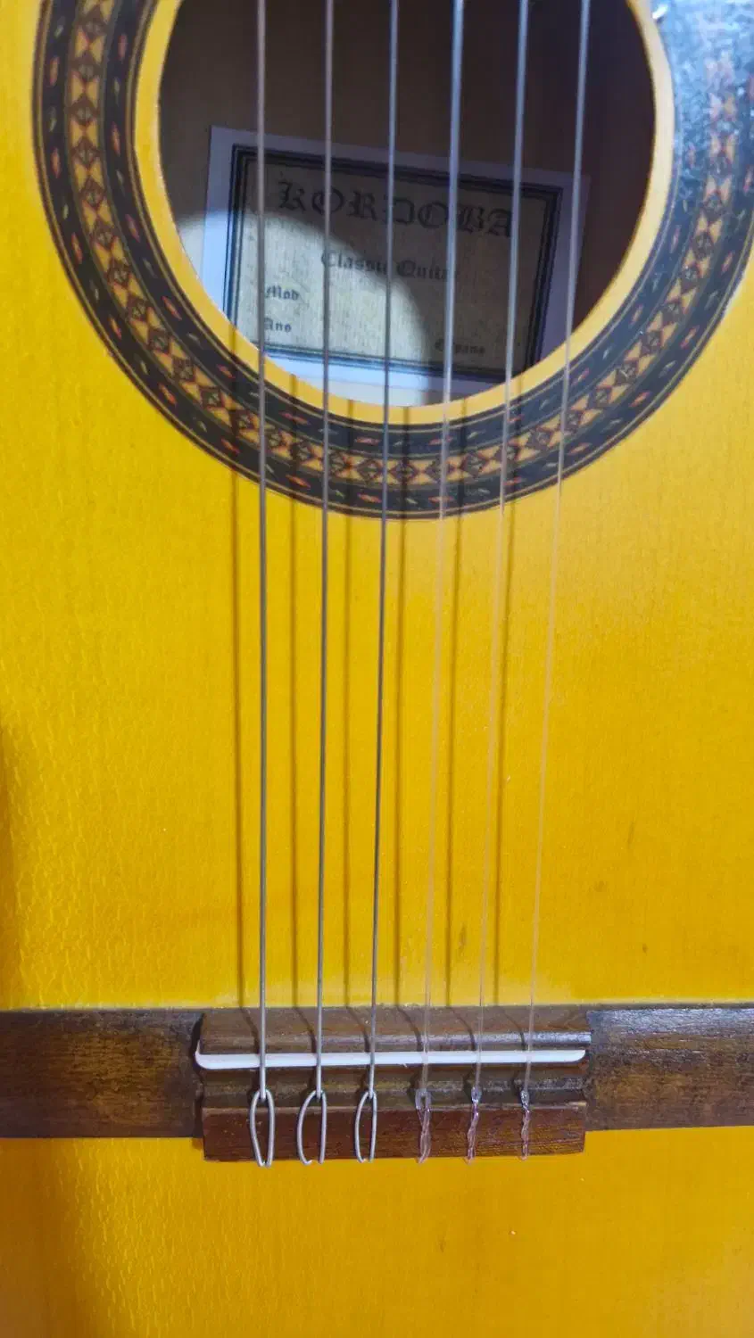 گیتار ایرانی کوردوبا|گیتار، بیس، امپلیفایر|فردیس, شهرک شهید حسینی|دیوار