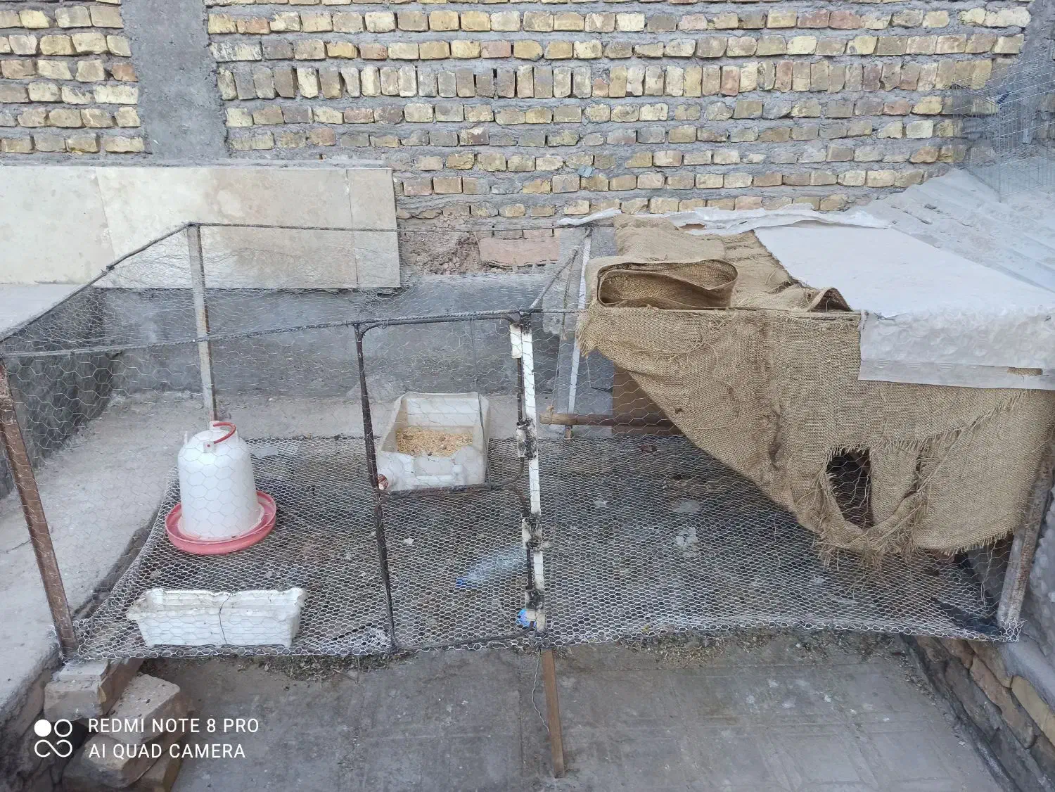 قفس توری مرغ و خروس بوقلمون کبوتر..|لوازم جانبی حیوانات|کرمان, |دیوار