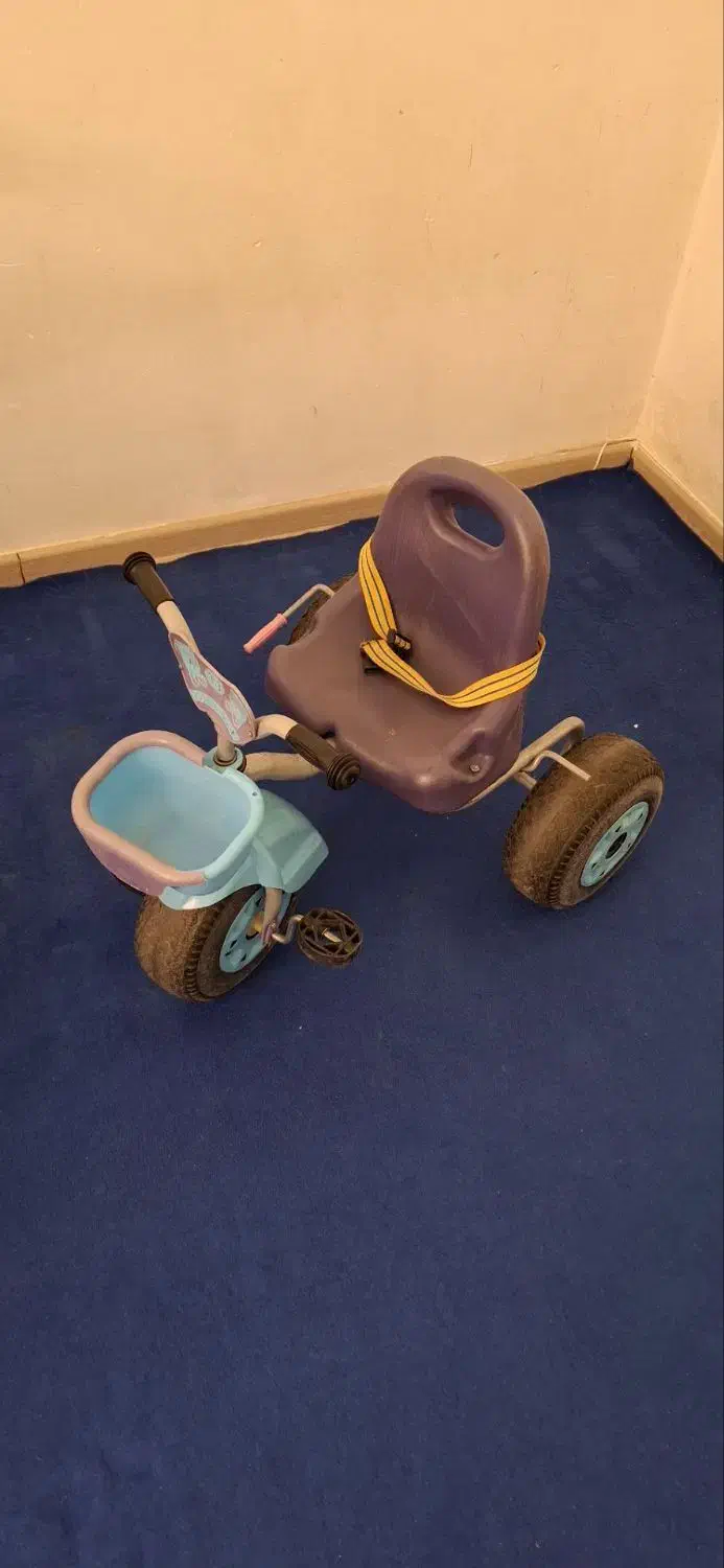 کالسکه|کالسکه و لوازم جانبی|سهند, |دیوار