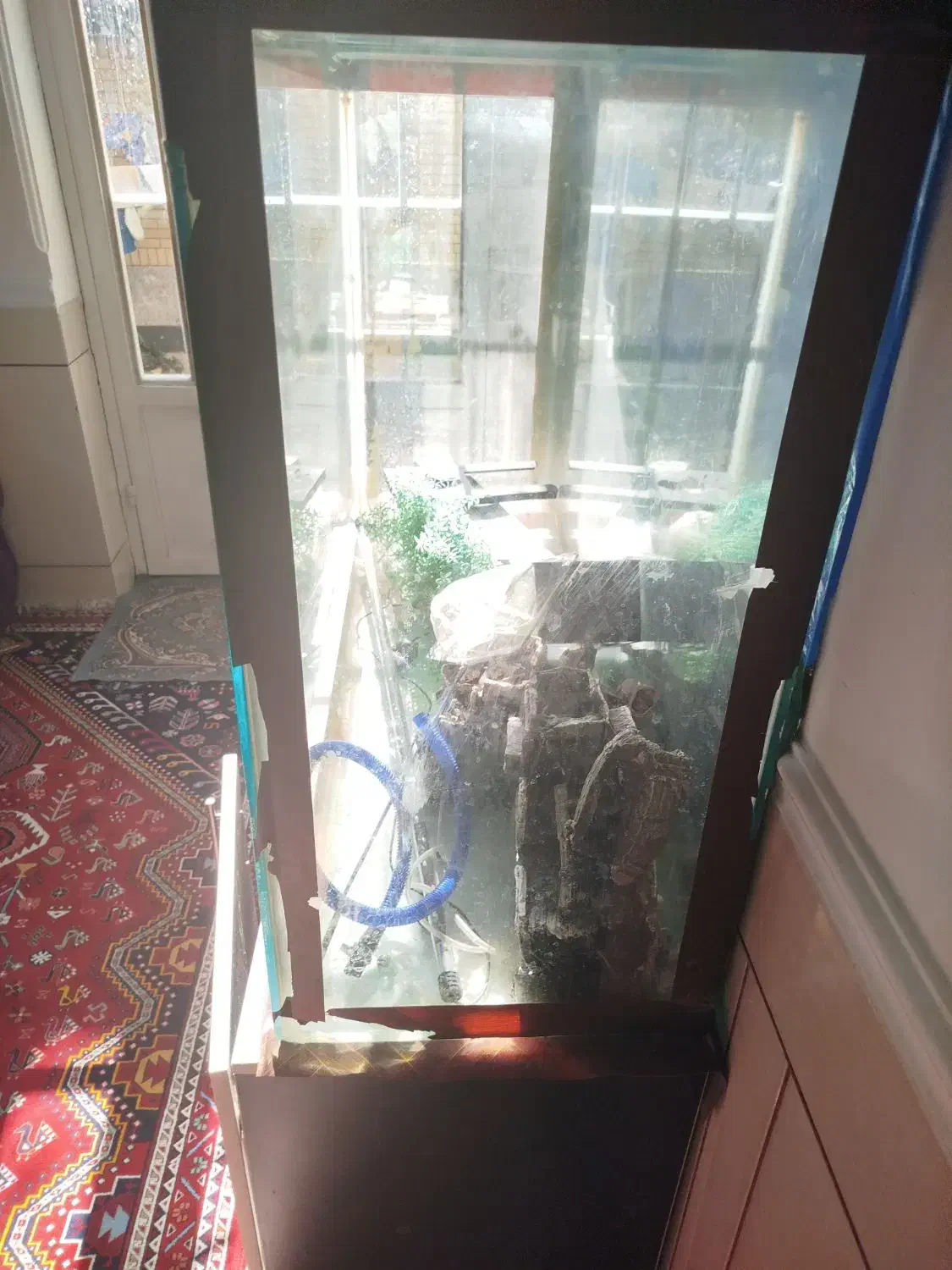 اکواریوم|ماهی|شیراز, بازار|دیوار