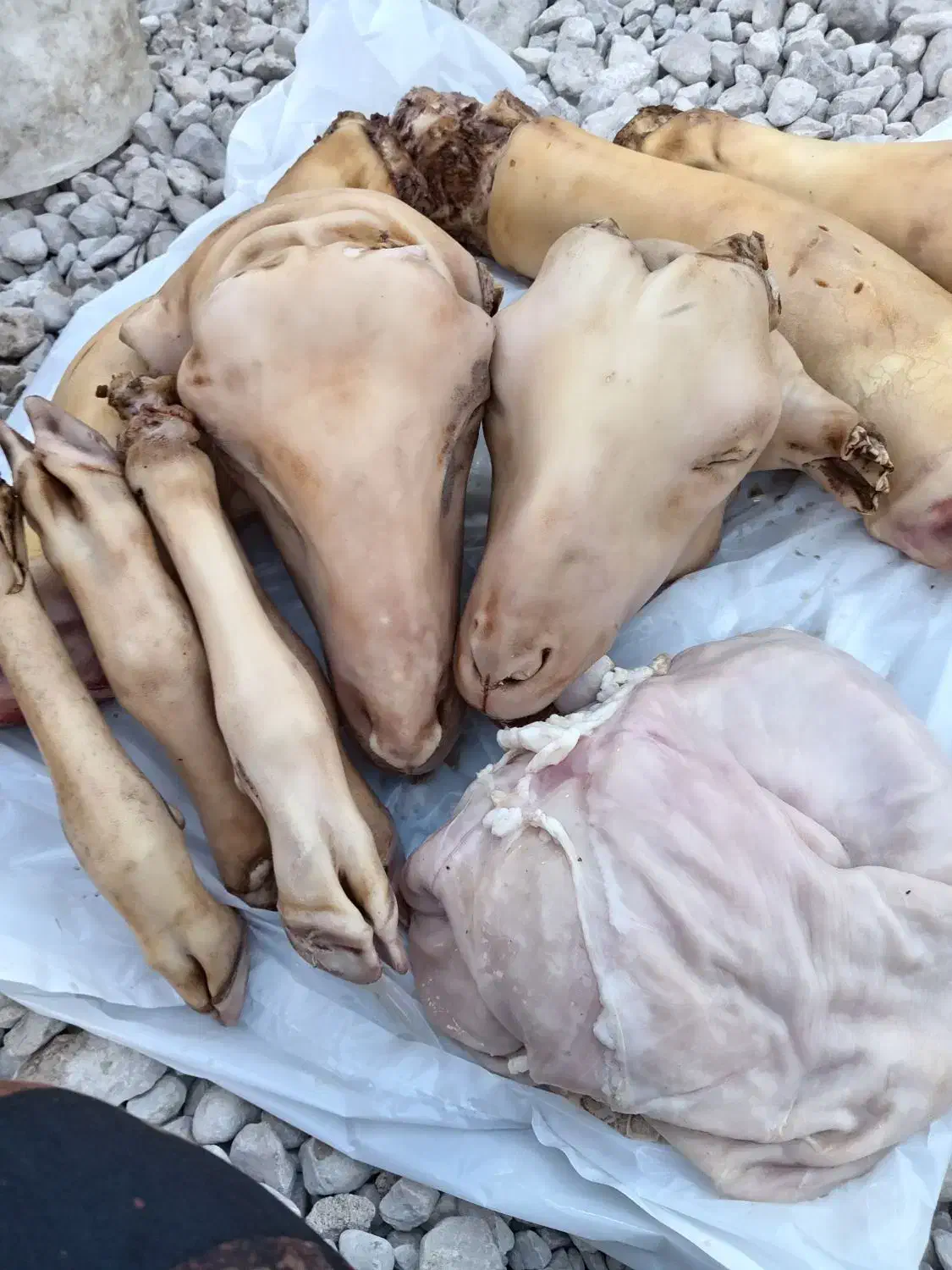 کله پاچه خانگی|خوردنی و آشامیدنی|برازجان, |دیوار