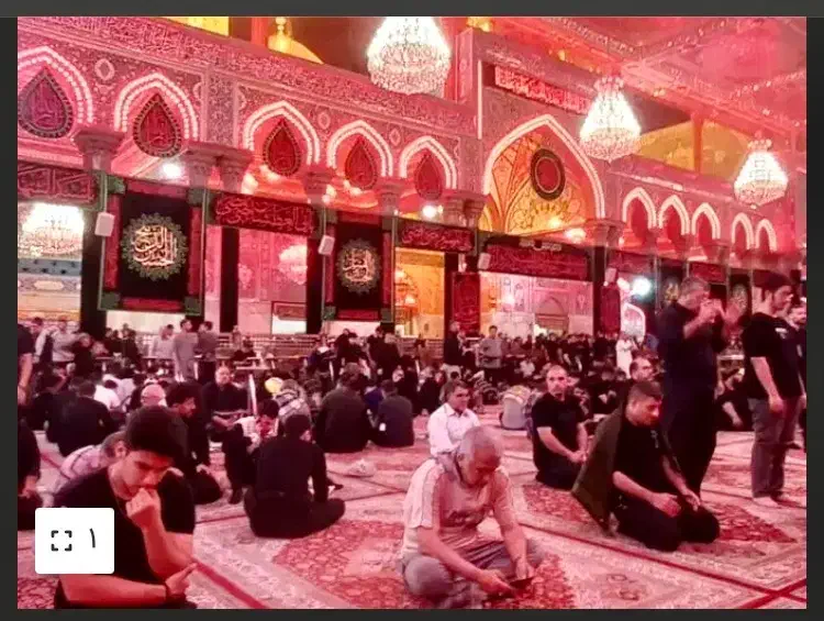 کربلاونجف|تور و چارتر|قم, باجک یک|دیوار