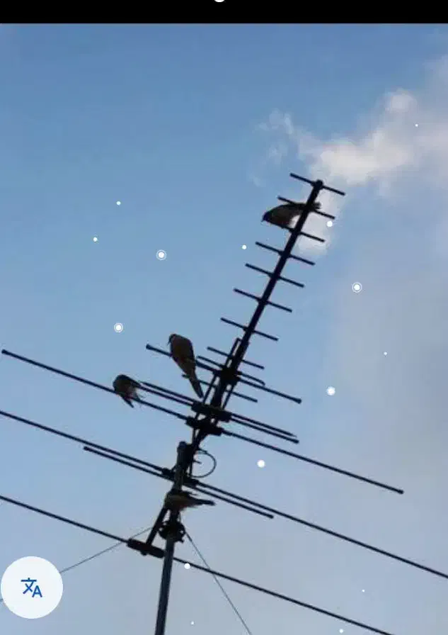 نصب انتن و راه اندازی انواع تلویزیون .براکت|خدمات پیشه و مهارت|ریگان, |دیوار