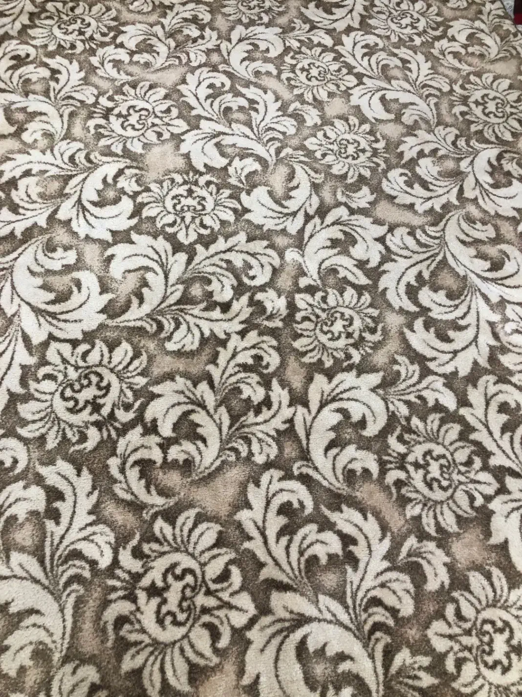 فروش گلیم فرش|فرش|بانه, |دیوار