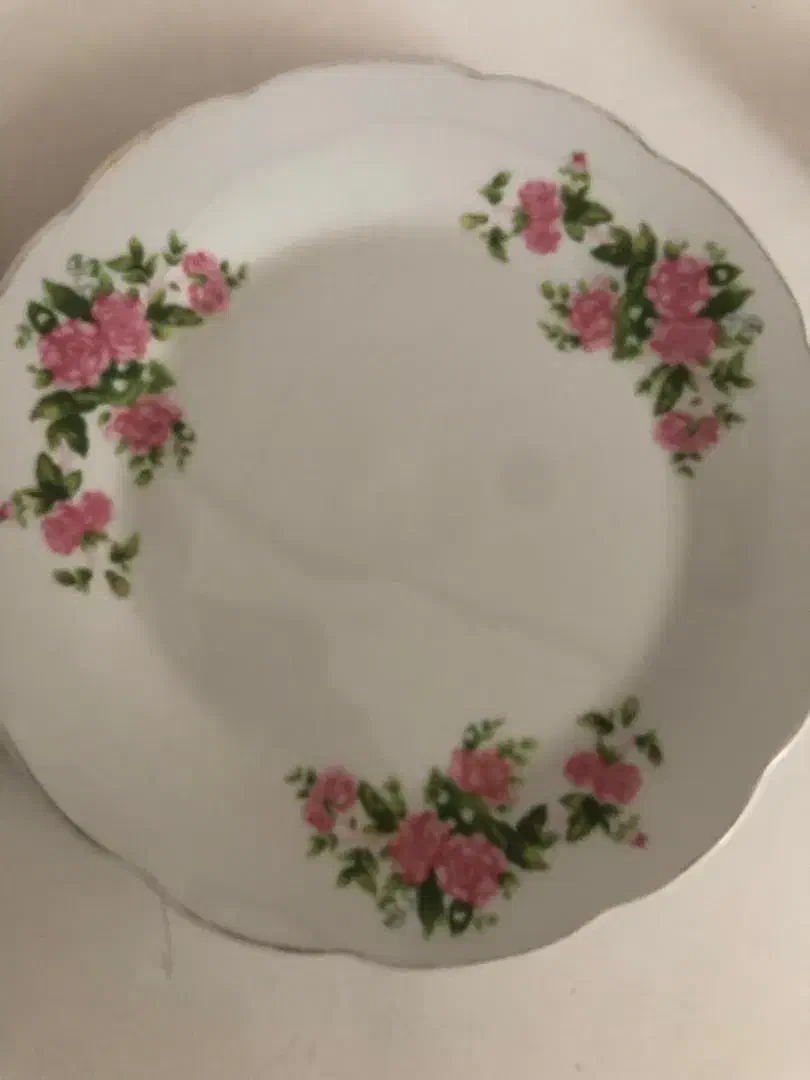 چند عدد ظرف آشپزخانه|ظروف سرو و پذیرایی|بوشهر, |دیوار