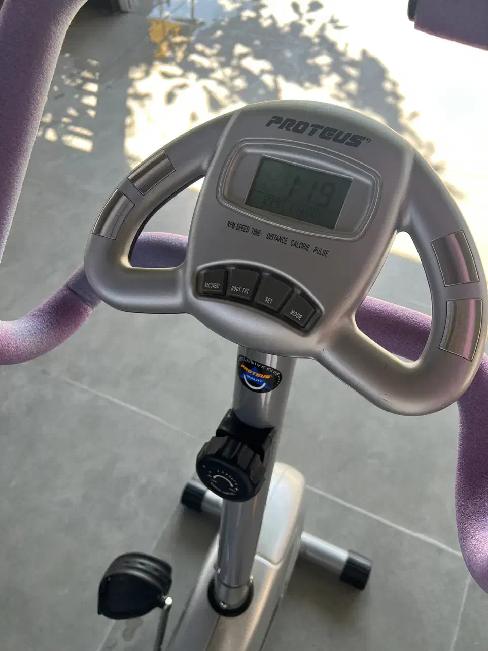 دوچرخه ثابت|تجهیزات ورزشی|شیراز, ریاستی|دیوار