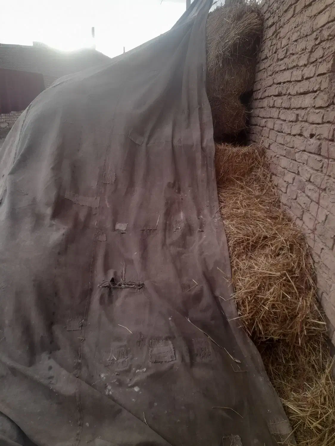 پرس گندم|لوازم جانبی حیوانات|طاغنکوه, |دیوار