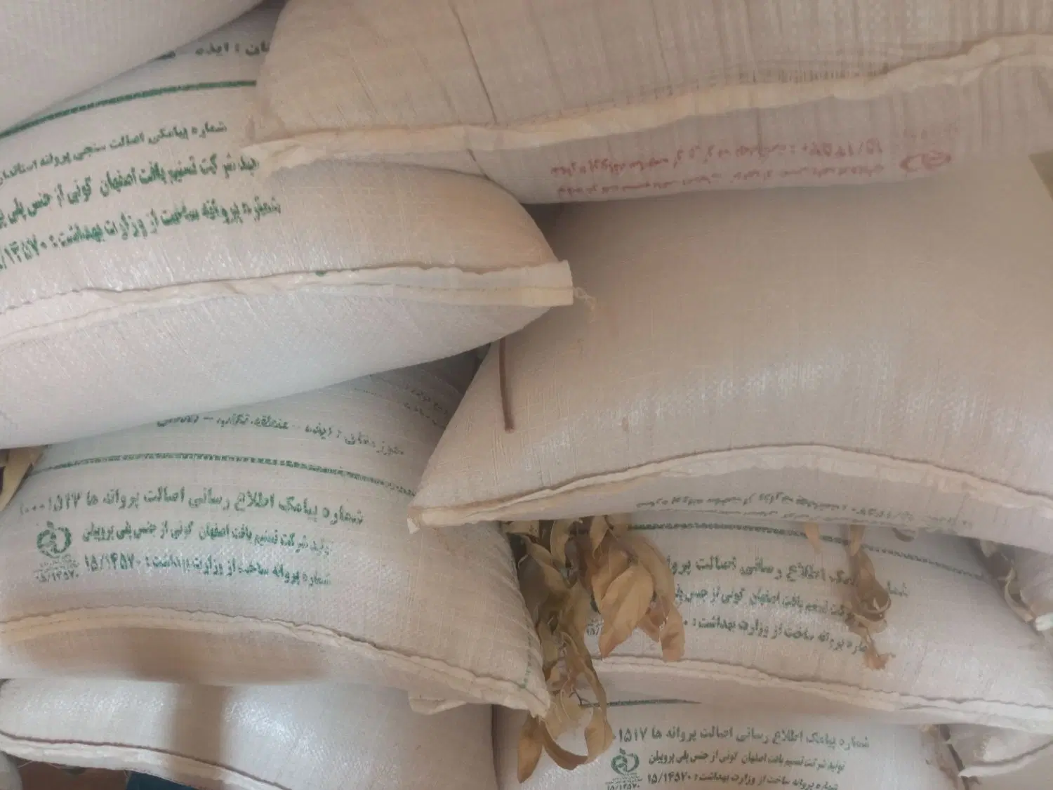 گندم|خوردنی و آشامیدنی|ایذه, |دیوار